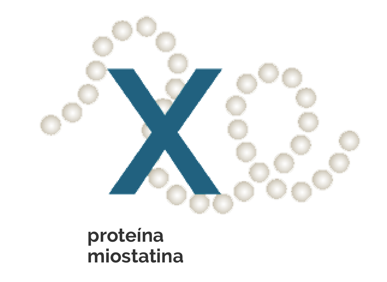 proteina miostatina